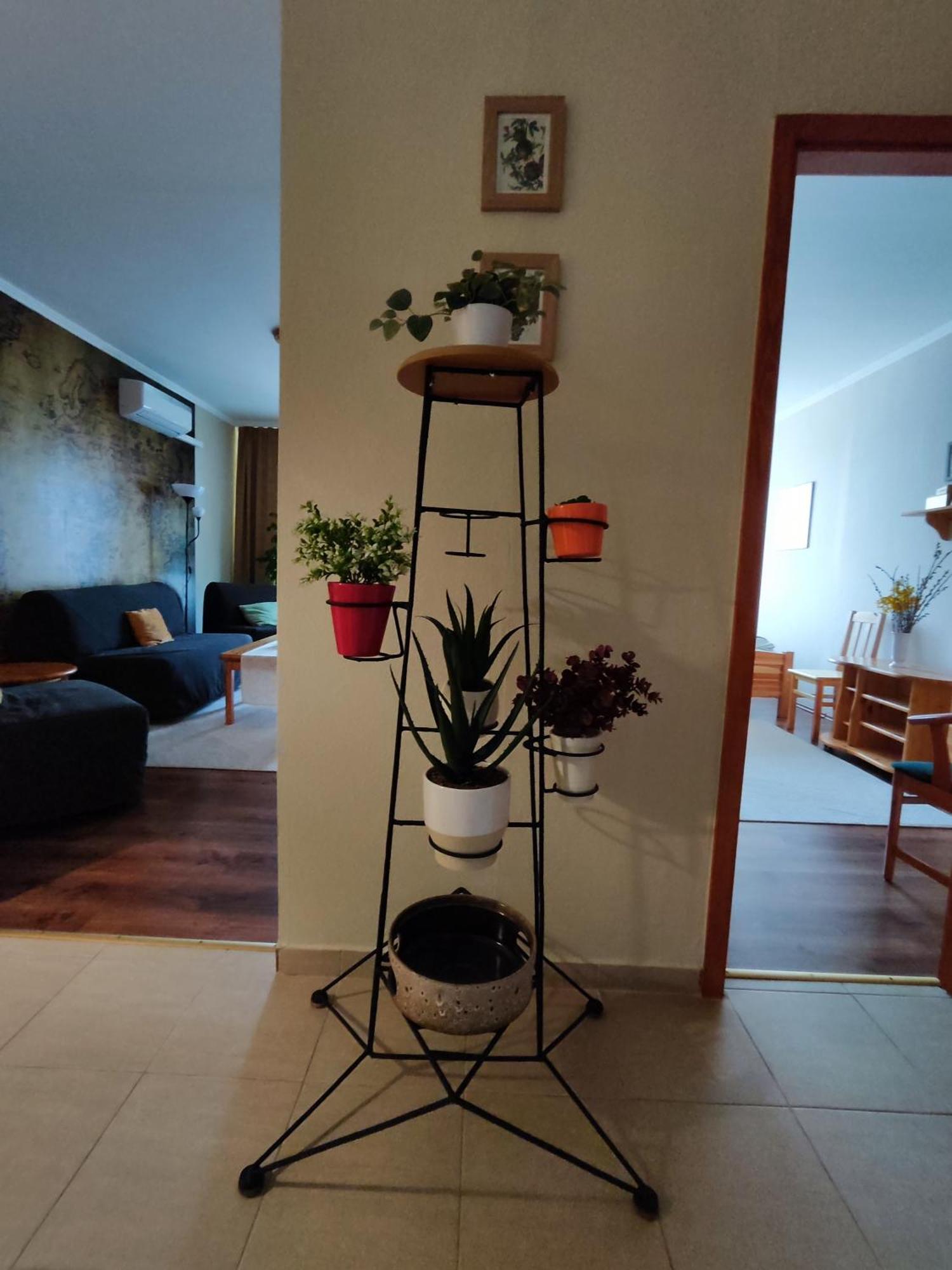 St. Benedek Apartmanlakas Lägenhet Mezőkövesd Exteriör bild